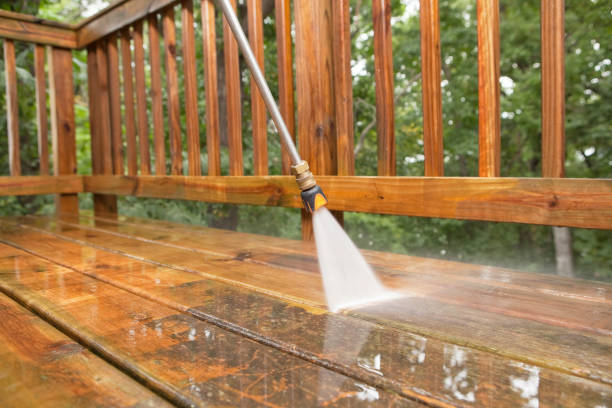 Best Local Pressure Washing Services  in Wilson, NC